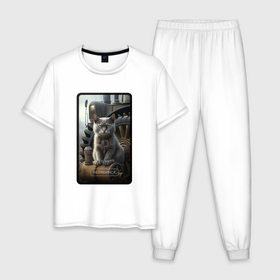 Мужская пижама хлопок с принтом Челябинск котик , 100% хлопок | брюки и футболка прямого кроя, без карманов, на брюках мягкая резинка на поясе и по низу штанин
 | 