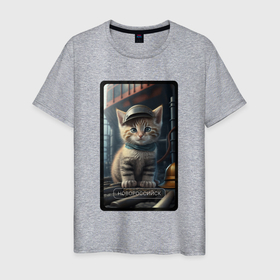 Мужская футболка хлопок с принтом Новороссийск котик в Кировске, 100% хлопок | прямой крой, круглый вырез горловины, длина до линии бедер, слегка спущенное плечо. | 