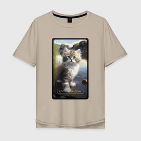 Мужская футболка хлопок Oversize с принтом Ростов на Дону котик в Новосибирске, 100% хлопок | свободный крой, круглый ворот, “спинка” длиннее передней части | 