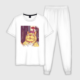 Мужская пижама хлопок с принтом Cat selfie в Белгороде, 100% хлопок | брюки и футболка прямого кроя, без карманов, на брюках мягкая резинка на поясе и по низу штанин
 | 