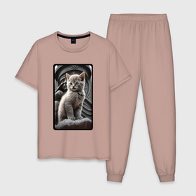Мужская пижама хлопок с принтом Волгоград котик в Курске, 100% хлопок | брюки и футболка прямого кроя, без карманов, на брюках мягкая резинка на поясе и по низу штанин
 | Тематика изображения на принте: 