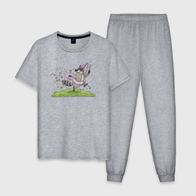 Мужская пижама хлопок с принтом Енот цветочная фея , 100% хлопок | брюки и футболка прямого кроя, без карманов, на брюках мягкая резинка на поясе и по низу штанин
 | 