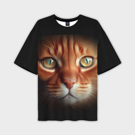 Мужская футболка oversize 3D с принтом морда  рыжего  кота в Санкт-Петербурге,  |  | 