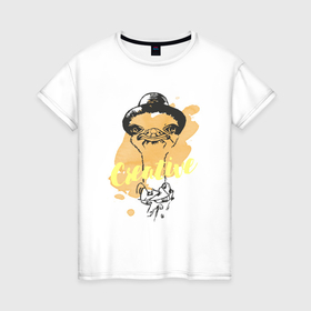 Женская футболка хлопок с принтом creative ostrich в Белгороде, 100% хлопок | прямой крой, круглый вырез горловины, длина до линии бедер, слегка спущенное плечо | 