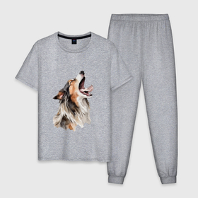 Мужская пижама хлопок с принтом Австралийская овчарка арт в Кировске, 100% хлопок | брюки и футболка прямого кроя, без карманов, на брюках мягкая резинка на поясе и по низу штанин
 | 