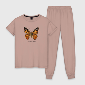 Женская пижама хлопок с принтом Бабочка Репейница с названием на латинском в Белгороде, 100% хлопок | брюки и футболка прямого кроя, без карманов, на брюках мягкая резинка на поясе и по низу штанин | 