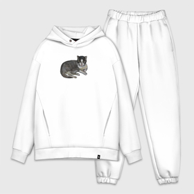 Мужской костюм oversize хлопок с принтом черно белое кошачье в Ухте,  |  | 