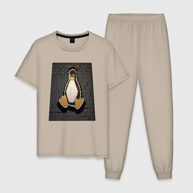 Мужская пижама хлопок с принтом Linux Tux cubed в Санкт-Петербурге, 100% хлопок | брюки и футболка прямого кроя, без карманов, на брюках мягкая резинка на поясе и по низу штанин
 | Тематика изображения на принте: 