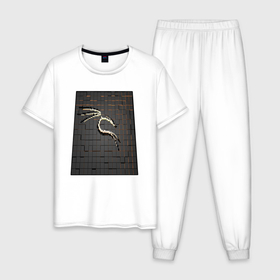 Мужская пижама хлопок с принтом Kali Linux cubed в Кировске, 100% хлопок | брюки и футболка прямого кроя, без карманов, на брюках мягкая резинка на поясе и по низу штанин
 | Тематика изображения на принте: 