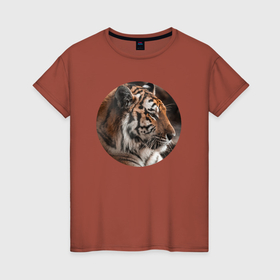 Женская футболка хлопок с принтом Тигр задумчивый в Курске, 100% хлопок | прямой крой, круглый вырез горловины, длина до линии бедер, слегка спущенное плечо | 