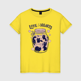 Женская футболка хлопок с принтом Love in our hearts kittens в Тюмени, 100% хлопок | прямой крой, круглый вырез горловины, длина до линии бедер, слегка спущенное плечо | 