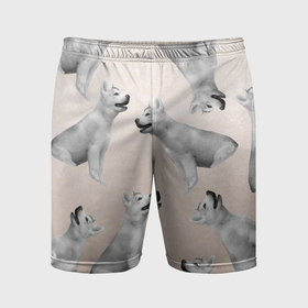 Мужские шорты спортивные с принтом Щенки хаски в Петрозаводске,  |  | Тематика изображения на принте: 