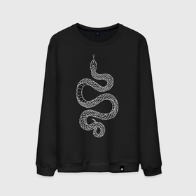 Мужской свитшот хлопок с принтом Белая змея уж в городе Новоалтайск, 100% хлопок |  | 
