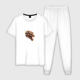 Мужская пижама хлопок с принтом Японский дракон Irezumi , 100% хлопок | брюки и футболка прямого кроя, без карманов, на брюках мягкая резинка на поясе и по низу штанин
 | Тематика изображения на принте: 