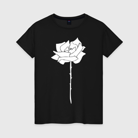 Женская футболка хлопок с принтом Белая роза вектор в Тюмени, 100% хлопок | прямой крой, круглый вырез горловины, длина до линии бедер, слегка спущенное плечо | 
