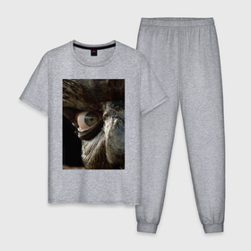 Мужская пижама хлопок с принтом Джиперс Криперс возрожденный в Петрозаводске, 100% хлопок | брюки и футболка прямого кроя, без карманов, на брюках мягкая резинка на поясе и по низу штанин
 | 