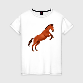 Женская футболка хлопок с принтом Англо арабская лошадь в Тюмени, 100% хлопок | прямой крой, круглый вырез горловины, длина до линии бедер, слегка спущенное плечо | 