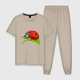 Мужская пижама хлопок с принтом Божья коровка на листе , 100% хлопок | брюки и футболка прямого кроя, без карманов, на брюках мягкая резинка на поясе и по низу штанин
 | 