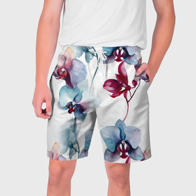 Мужские шорты 3D с принтом Голубая орхидея акварель   паттерн в Курске,  полиэстер 100% | прямой крой, два кармана без застежек по бокам. Мягкая трикотажная резинка на поясе, внутри которой широкие завязки. Длина чуть выше колен | Тематика изображения на принте: 