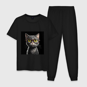 Мужская пижама хлопок с принтом Желтоглазый котик в очках в Екатеринбурге, 100% хлопок | брюки и футболка прямого кроя, без карманов, на брюках мягкая резинка на поясе и по низу штанин
 | 
