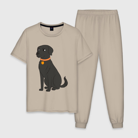 Мужская пижама хлопок с принтом Чёрный пёс в Екатеринбурге, 100% хлопок | брюки и футболка прямого кроя, без карманов, на брюках мягкая резинка на поясе и по низу штанин
 | 
