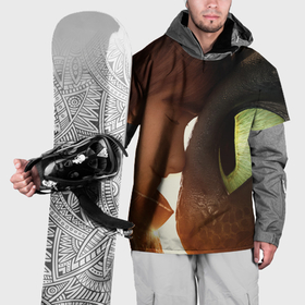 Накидка на куртку 3D с принтом Как приручить дракона  друзья в Санкт-Петербурге, 100% полиэстер |  | Тематика изображения на принте: 