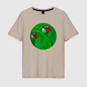 Мужская футболка хлопок Oversize с принтом Два зелёных попугая в Новосибирске, 100% хлопок | свободный крой, круглый ворот, “спинка” длиннее передней части | Тематика изображения на принте: 