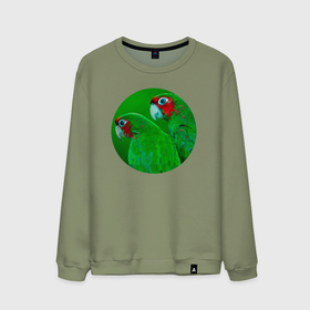 Мужской свитшот хлопок с принтом Два зелёных попугая в Белгороде, 100% хлопок |  | Тематика изображения на принте: 