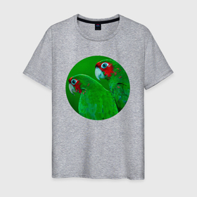 Мужская футболка хлопок с принтом Два зелёных попугая в Тюмени, 100% хлопок | прямой крой, круглый вырез горловины, длина до линии бедер, слегка спущенное плечо. | Тематика изображения на принте: 