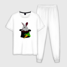 Мужская пижама хлопок с принтом Кролик с морковкой в цилиндре в Новосибирске, 100% хлопок | брюки и футболка прямого кроя, без карманов, на брюках мягкая резинка на поясе и по низу штанин
 | Тематика изображения на принте: 