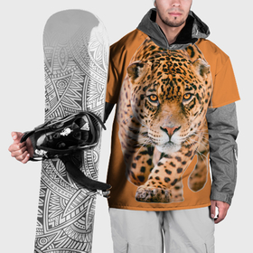 Накидка на куртку 3D с принтом Ягуар на охоте в Кировске, 100% полиэстер |  | 