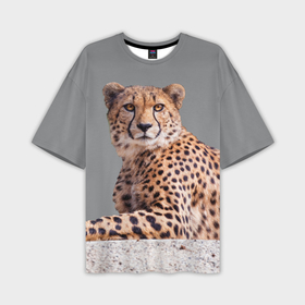 Мужская футболка oversize 3D с принтом Гепард дикая кошка в Тюмени,  |  | 