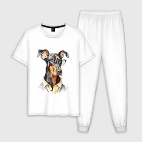 Мужская пижама хлопок с принтом Доберман акварель в Санкт-Петербурге, 100% хлопок | брюки и футболка прямого кроя, без карманов, на брюках мягкая резинка на поясе и по низу штанин
 | 