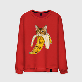 Мужской свитшот хлопок с принтом Бенгальский кот банан в Тюмени, 100% хлопок |  | Тематика изображения на принте: 