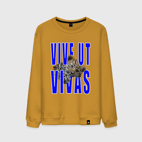 Мужской свитшот хлопок с принтом Vive ut vivas в Тюмени, 100% хлопок |  | 