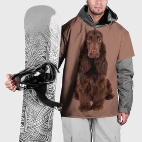 Накидка на куртку 3D с принтом Кокер спаниель охотничья в Курске, 100% полиэстер |  | Тематика изображения на принте: 