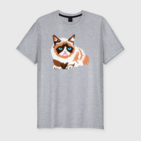 Мужская футболка хлопок Slim с принтом Совсем не довольный кот в Курске, 92% хлопок, 8% лайкра | приталенный силуэт, круглый вырез ворота, длина до линии бедра, короткий рукав | Тематика изображения на принте: 