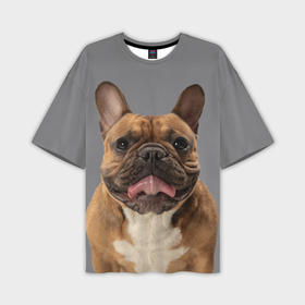 Мужская футболка oversize 3D с принтом French bulldog в Курске,  |  | 