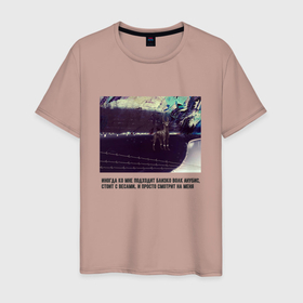 Мужская футболка хлопок с принтом Волк Анубис в Тюмени, 100% хлопок | прямой крой, круглый вырез горловины, длина до линии бедер, слегка спущенное плечо. | Тематика изображения на принте: 