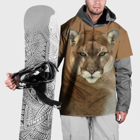 Накидка на куртку 3D с принтом Пума хищница в Санкт-Петербурге, 100% полиэстер |  | Тематика изображения на принте: 