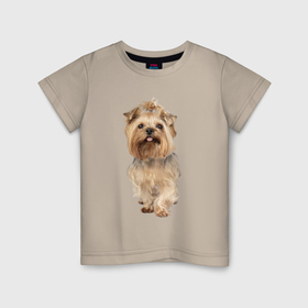 Детская футболка хлопок с принтом Йоркширский терьер собака в Белгороде, 100% хлопок | круглый вырез горловины, полуприлегающий силуэт, длина до линии бедер | 