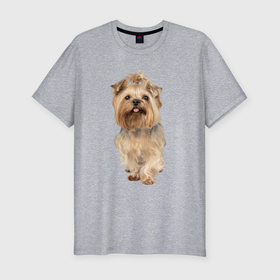 Мужская футболка хлопок Slim с принтом Йоркширский терьер собака в Новосибирске, 92% хлопок, 8% лайкра | приталенный силуэт, круглый вырез ворота, длина до линии бедра, короткий рукав | 