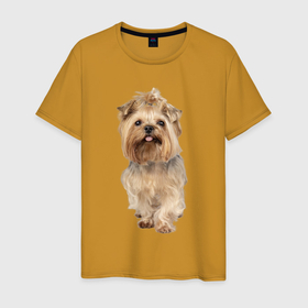 Мужская футболка хлопок с принтом Йоркширский терьер собака в Тюмени, 100% хлопок | прямой крой, круглый вырез горловины, длина до линии бедер, слегка спущенное плечо. | 
