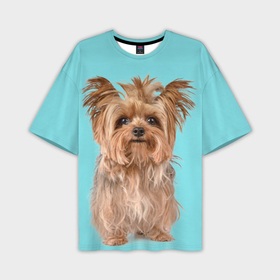 Мужская футболка oversize 3D с принтом Йоркширский терьер собака в Белгороде,  |  | 