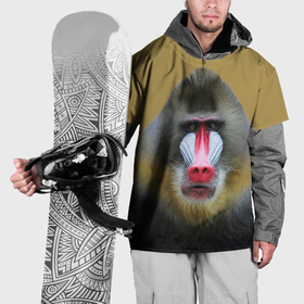 Накидка на куртку 3D с принтом Мандрил обезьяна , 100% полиэстер |  | 