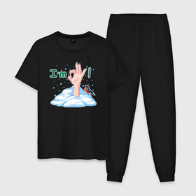 Мужская пижама хлопок с принтом Снежная королева в порядке , 100% хлопок | брюки и футболка прямого кроя, без карманов, на брюках мягкая резинка на поясе и по низу штанин
 | 