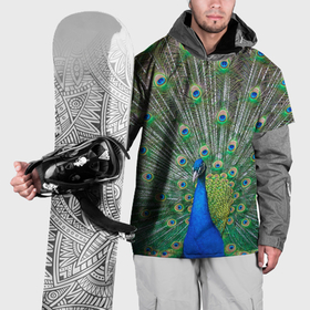Накидка на куртку 3D с принтом Величественный павлин в Екатеринбурге, 100% полиэстер |  | Тематика изображения на принте: 