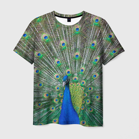 Мужская футболка 3D с принтом Величественный павлин в Екатеринбурге, 100% полиэфир | прямой крой, круглый вырез горловины, длина до линии бедер | 