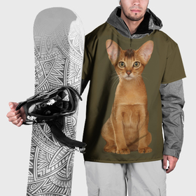 Накидка на куртку 3D с принтом Абиссинская кошка рыжая в Петрозаводске, 100% полиэстер |  | 