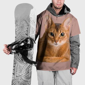 Накидка на куртку 3D с принтом Абиссинская кошка рыжая в Петрозаводске, 100% полиэстер |  | 